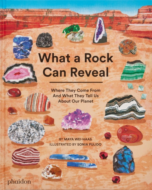 What a Rock Can Reveal : Where They Come From And What They Tell Us About Our Planet-'9781838667894