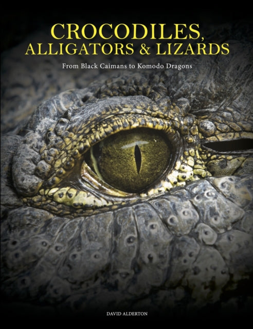 Crocodiles, Alligators & Lizards : From Black Caimans to Komodo Dragons-'9781838864286