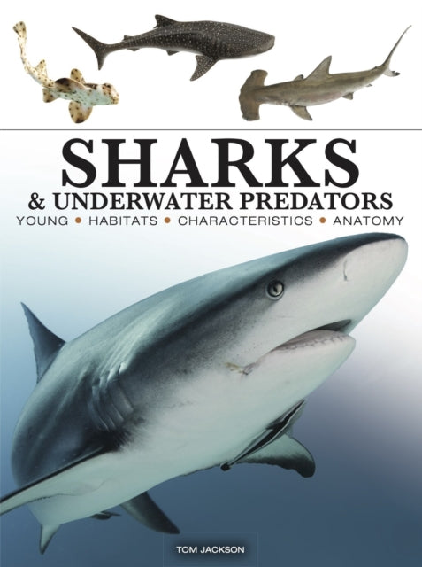 Sharks & Underwater Predators-'9781838864439