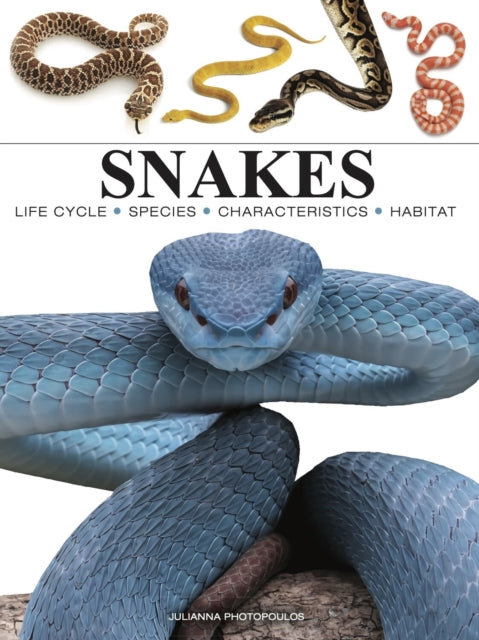 Snakes-'9781838864446