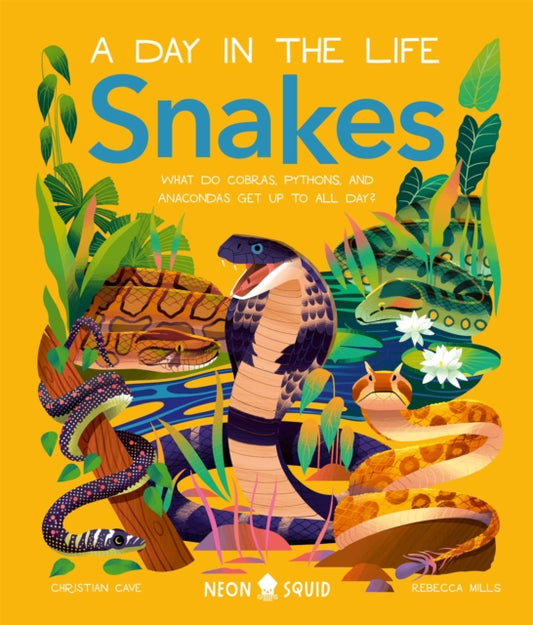 Snakes (A Day in the Life) : What Do Cobras, Pythons, and Anacondas Get Up to All Day?-'9781838993269
