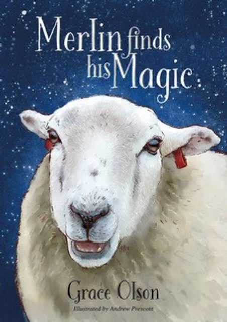 Merlin finds his Magic-'9781839527357