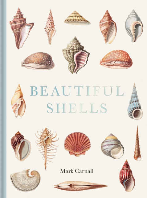 Beautiful Shells-'9781851246168