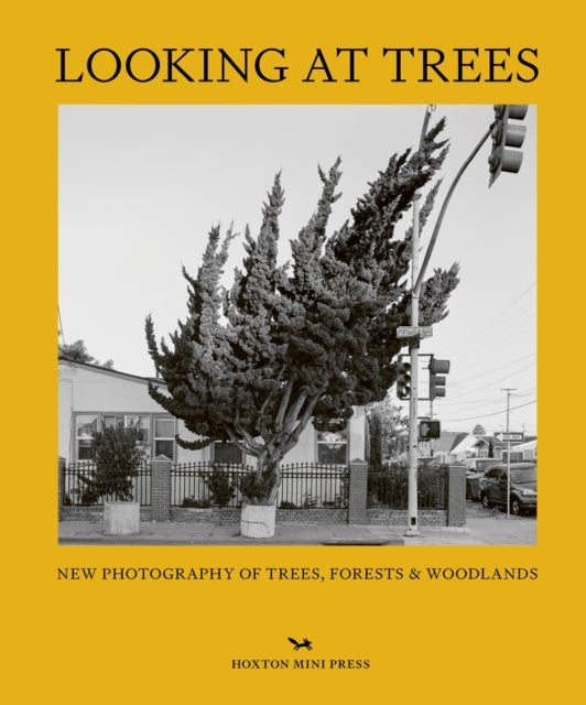 Looking At Trees : New Photography of Trees, Forests & Woodlands-'9781914314407