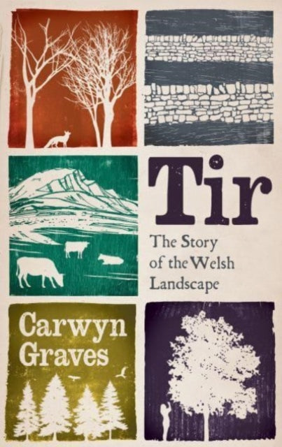 Tir : The Story of the Welsh Landscape-'9781915279668