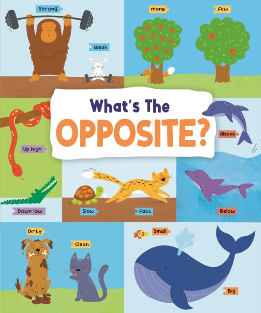 What's the Opposite? : Big and Small, High and Low and Many More...-'9781915461209