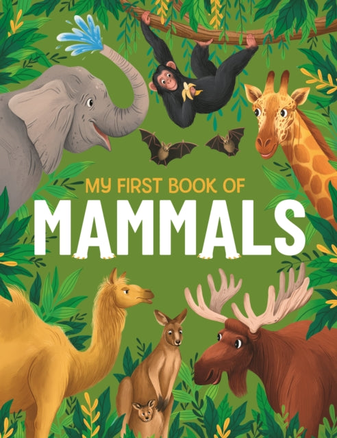 My First Book of Mammals : An Illustrated First Look at Mammals from Around the World-'9781915461940