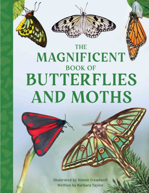 The Magnificent Book of Butterflies and Moths-'9781915588425