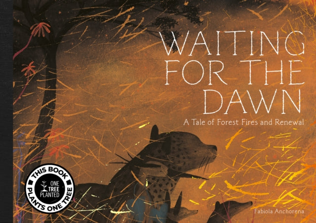 Waiting for The Dawn-'9781962098014
